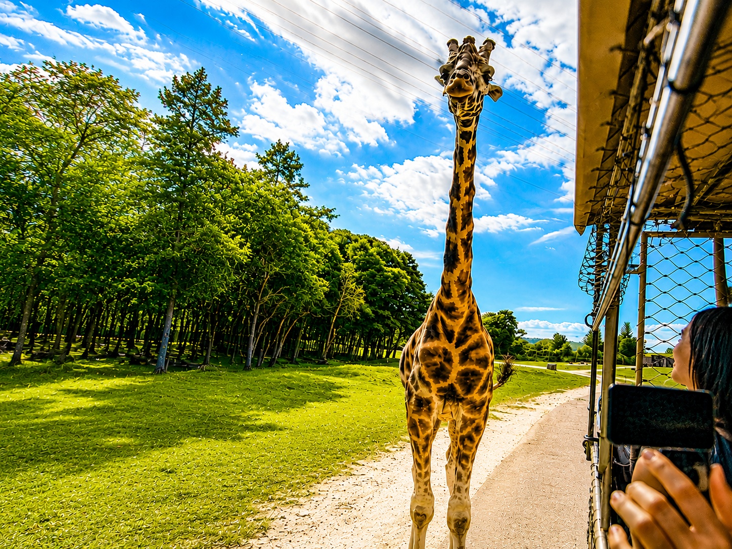 CZECHY - PRAGA i SAFARI PARK – 3 DNI (zalecana dla SP)