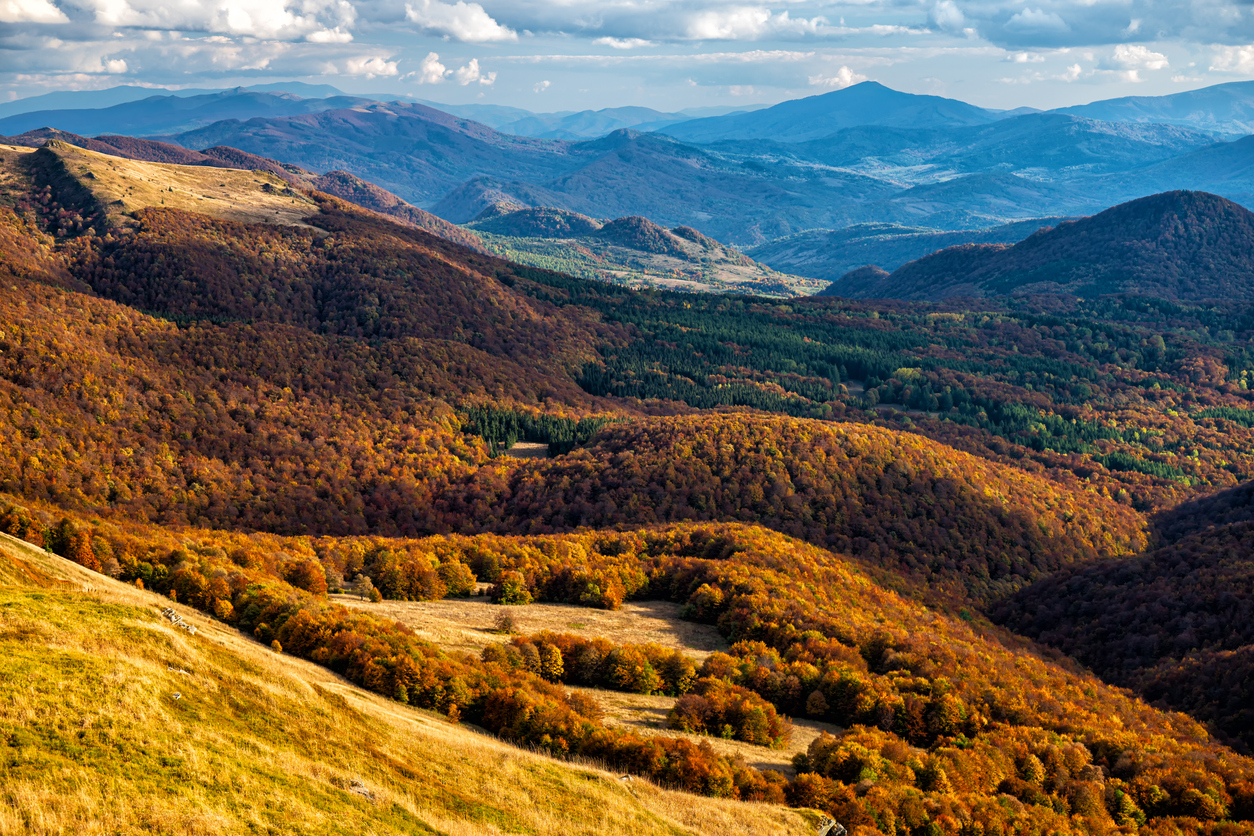 SOLINA, BIESZCZADY I SANOK - 3 DNI
