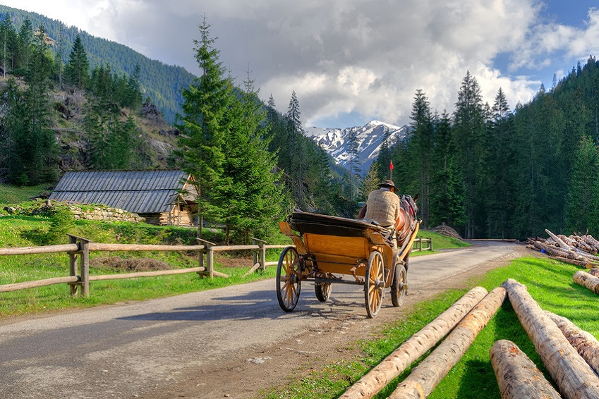 TATRY - DOLINA KOŚCIELISKA - 1 DZIEŃ
